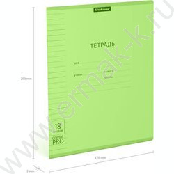 Тетрадь  18л линейка с пластиковой обложкой "Классика CoverPrо Neon" /зеленый | Фото 4