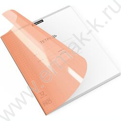 Тетрадь  12л клетка с пластиковой обложкой "Классика CoverPrо Neon" /оранжевый | Фото 2