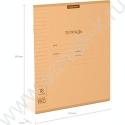 Тетрадь  18л линейка с пластиковой обложкой "Классика CoverPrо Neon" /оранжевый | Фото 4