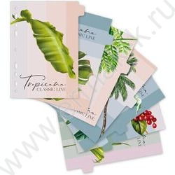 Разделитель листов лам.картон А5 с рисунком-8шт "Tropicana" NEW | Фото 1