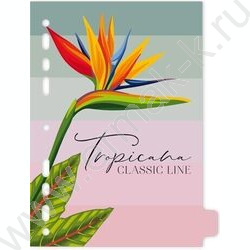 Разделитель листов лам.картон А5 с рисунком-8шт "Tropicana" NEW | Фото 2