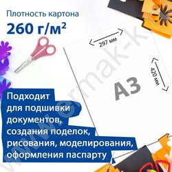 Картон переплетный A3 420*297мм, 260г/м2, 100листов/упак. | Фото 4