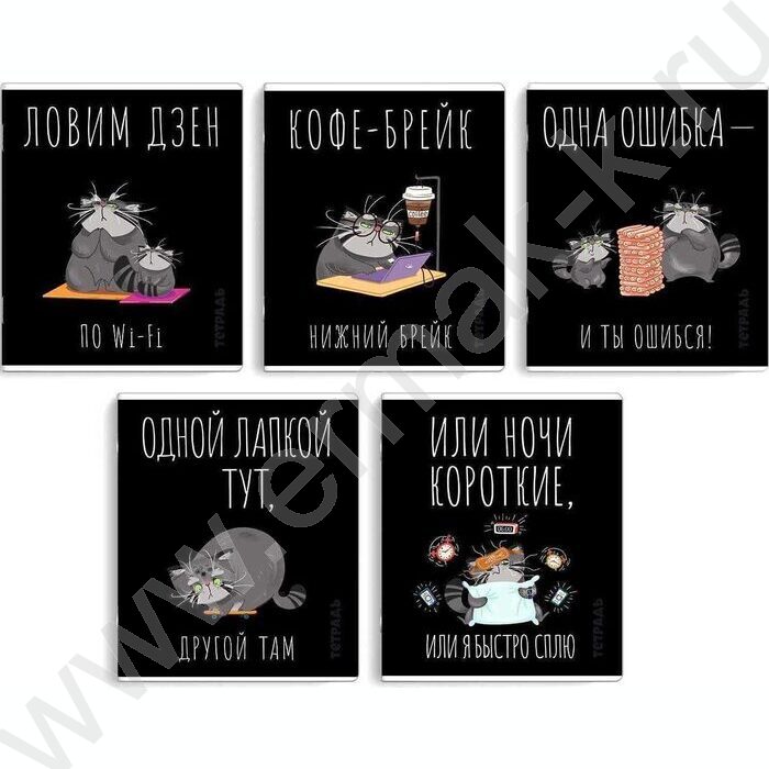 Тетрадь  48л клетка "Серый кот" /выборочный ТВИН лак/ ассорти | Фото 1