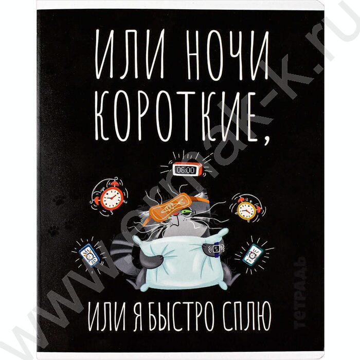 Тетрадь  48л клетка "Серый кот" /выборочный ТВИН лак/ ассорти | Фото 2