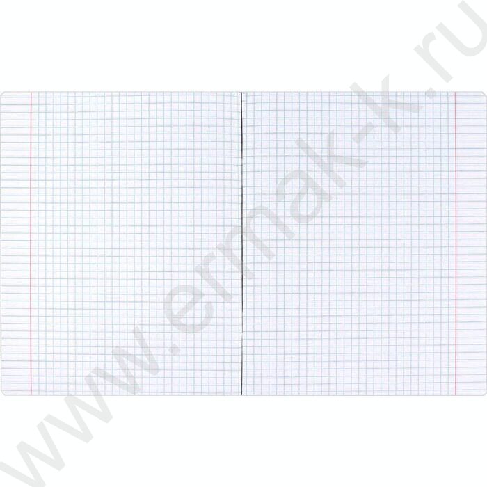 Тетрадь  48л клетка "Серый кот" /выборочный ТВИН лак/ ассорти | Фото 3