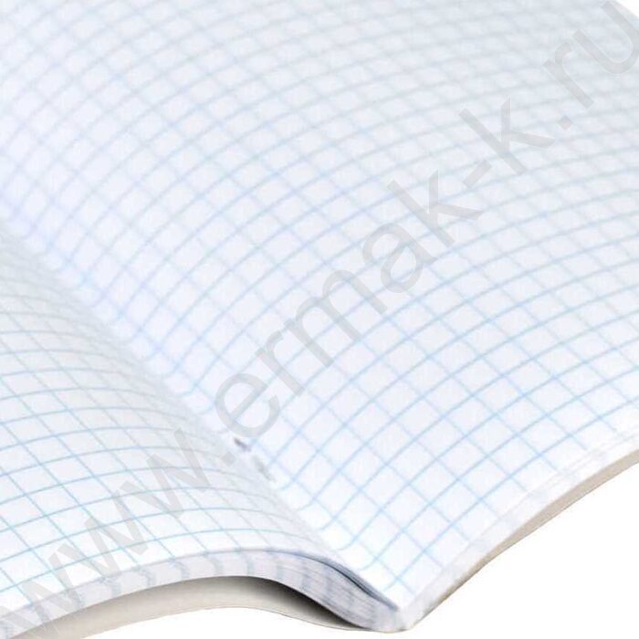 Тетрадь  48л клетка "Серый кот" /выборочный ТВИН лак/ ассорти | Фото 4