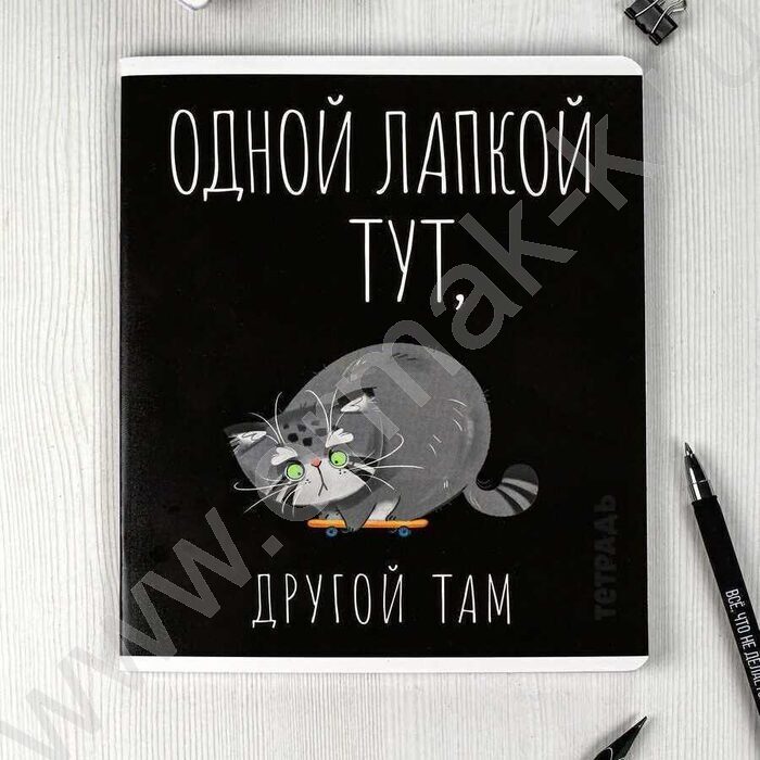 Тетрадь  48л клетка "Серый кот" /выборочный ТВИН лак/ ассорти | Фото 6