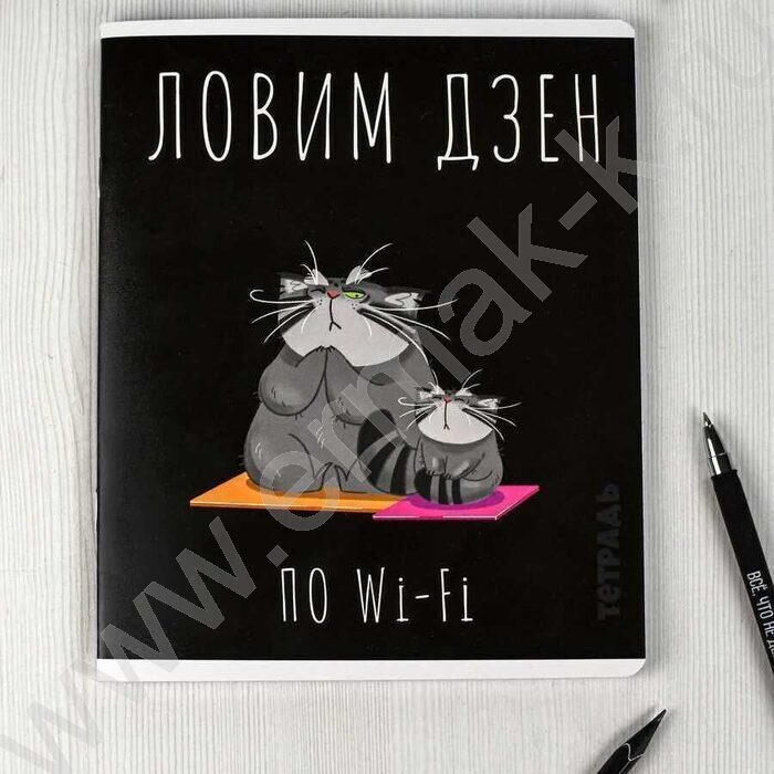 Тетрадь  48л клетка "Серый кот" /выборочный ТВИН лак/ ассорти | Фото 7