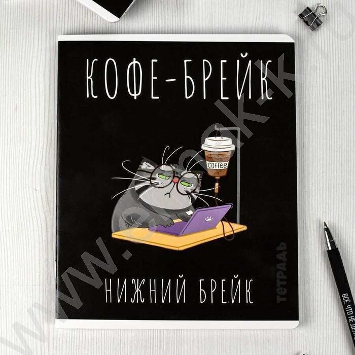 Тетрадь  48л клетка "Серый кот" /выборочный ТВИН лак/ ассорти | Фото 8