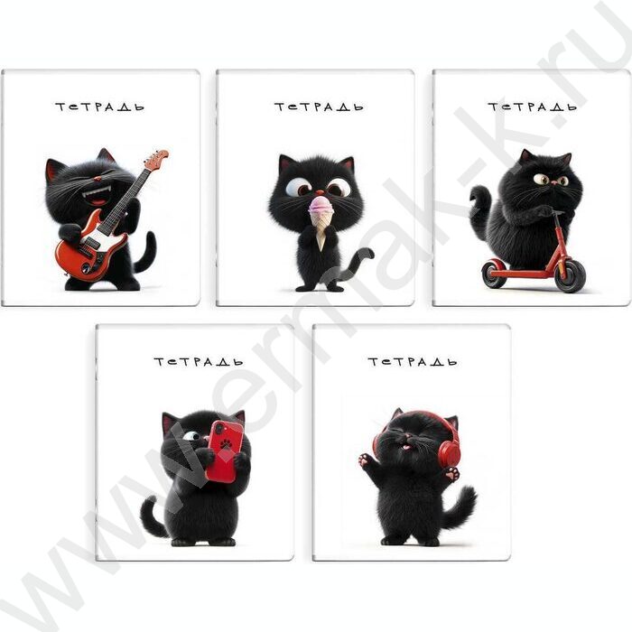 Тетрадь  48л клетка "Черный кот" /выб.ТВИН-лак/ ассорти | Фото 1