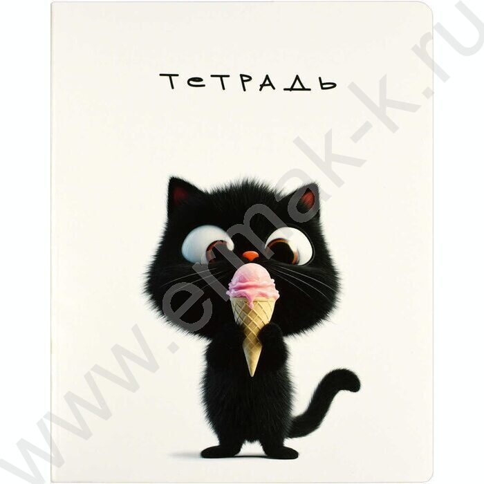 Тетрадь  48л клетка "Черный кот" /выб.ТВИН-лак/ ассорти | Фото 2