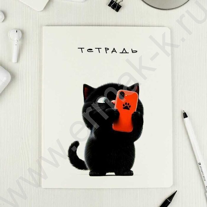 Тетрадь  48л клетка "Черный кот" /выб.ТВИН-лак/ ассорти | Фото 6
