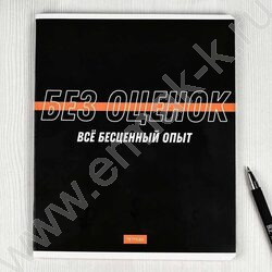 Тетрадь  48л линейка "Фразы с характером" /выб.ТВИН-лак/ ассорти | Фото 2