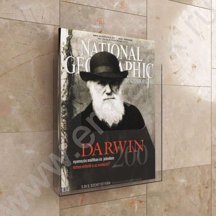 Карман настенный А4 210*297мм вертикальный, полистирол /2 штуки в упаковке. | Фото 2