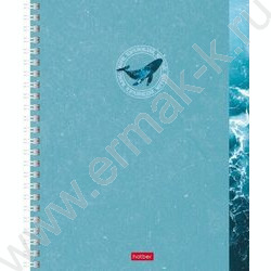 Тетрадь  48л клетка/спираль "Вдохновение вокруг" /тиснение /мат. лам. /4вида | Фото 1