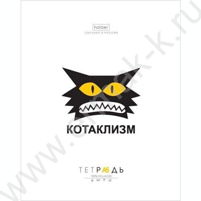 Тетрадь  48л клетка "Муркомания" 5видов | Фото 1