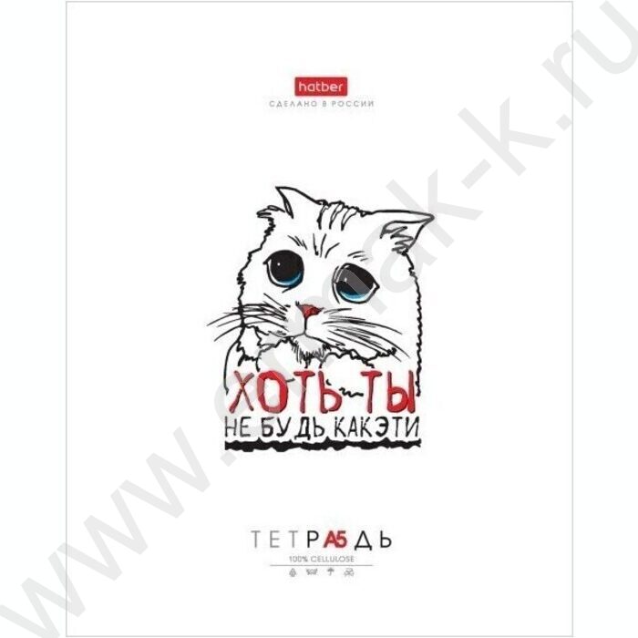 Тетрадь  48л клетка "Муркомания" 5видов | Фото 2