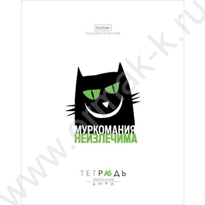 Тетрадь  48л клетка "Муркомания" 5видов | Фото 4