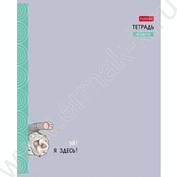 Тетрадь  48л клетка "Калан Кеша" /мат.лам/ 5видов | Фото 3