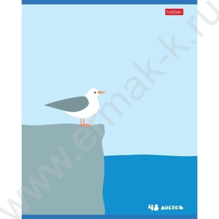 Тетрадь  48л клетка "Приключения чайки" /мат.лам/ 5видов | Фото 1