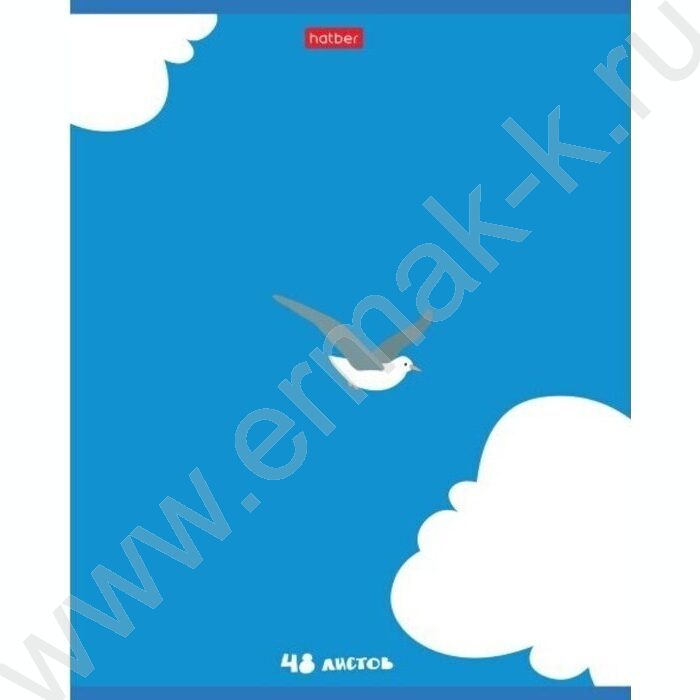 Тетрадь  48л клетка "Приключения чайки" /мат.лам/ 5видов | Фото 5