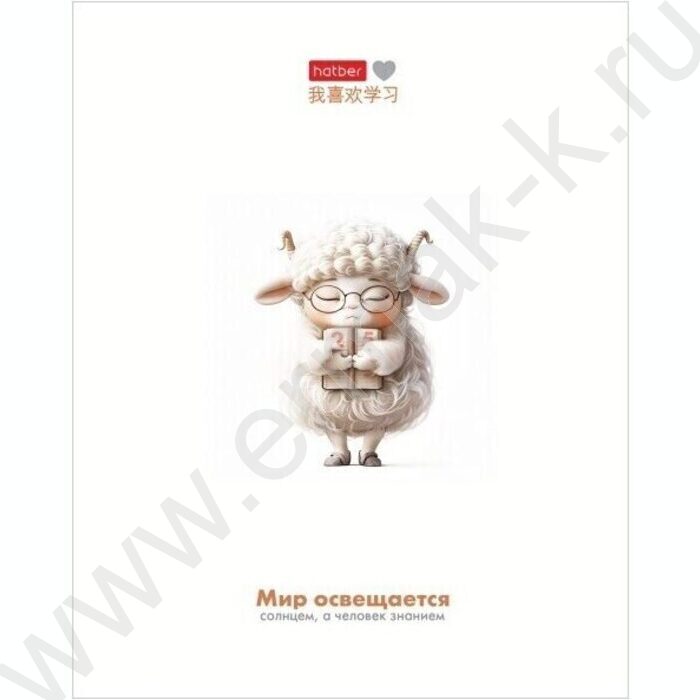 Тетрадь  48л клетка "Я люблю учиться" /мат.лам/ 5видов | Фото 1