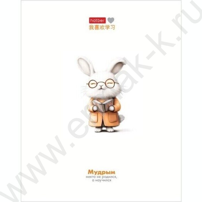 Тетрадь  48л клетка "Я люблю учиться" /мат.лам/ 5видов | Фото 4