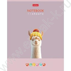 Тетрадь  48л клетка "ALPACA" /ламинация Soft-touch/ 5видов | Фото 1