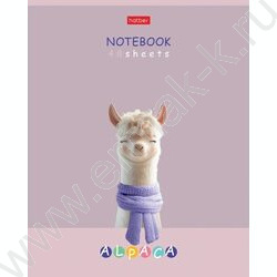 Тетрадь  48л клетка "ALPACA" /ламинация Soft-touch/ 5видов | Фото 2
