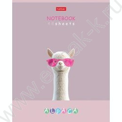 Тетрадь  48л клетка "ALPACA" /ламинация Soft-touch/ 5видов | Фото 4