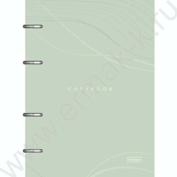 Тетрадь  80л клетка/кольца /смен.блок /мат.лам/  "Color Line" | Фото 1