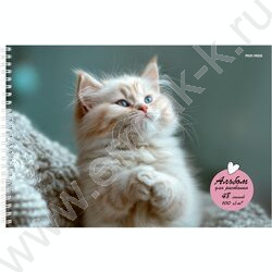 Альбом д/рисования-спираль 48л "Маленький забавный кот" | Фото 1