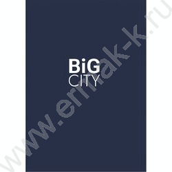 Зап. книжка  64л А6 тв.обл. "Здание большого города" /глянец | Фото 4