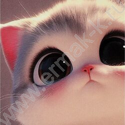 Зап. книжка  64л А7 тв.обл. "Милый котенок-2" /глянец | Фото 5