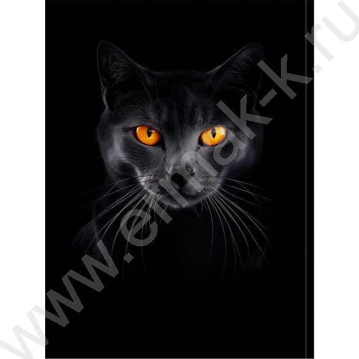 Бизнес-блокнот  80л А5 тв.обл "Чёрная кошка-2" /глянец/ | Фото 4