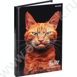 Бизнес-блокнот  80л А6 тв.обл "Рыжий котик-1" /глянец/ | Фото 1
