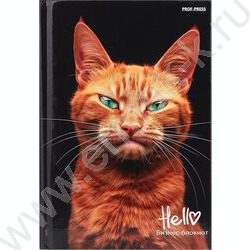 Бизнес-блокнот  80л А6 тв.обл "Рыжий котик-1" /глянец/ | Фото 2