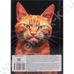 Бизнес-блокнот  80л А6 тв.обл "Рыжий котик-1" /глянец/ | Фото 4