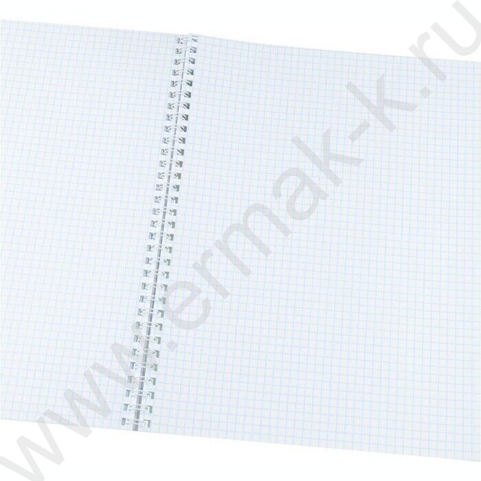 Тетрадь  96л А4 клетка/спираль "Горный пейзаж-2" ассорти | Фото 2