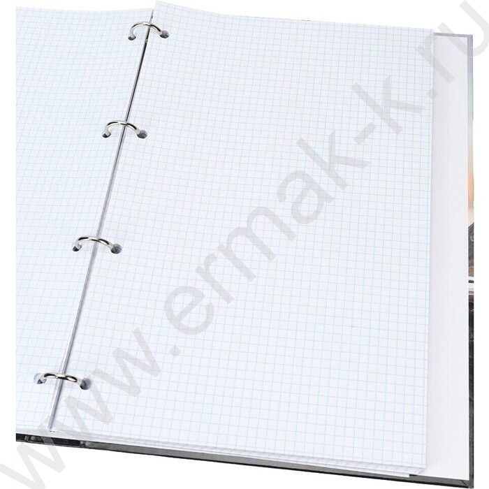 Тетрадь 120л А4 клетка/кольца "Отдых в горах" | Фото 3