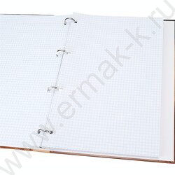 Тетрадь 120л А4 клетка/кольца "Тигр в пустыне" | Фото 3