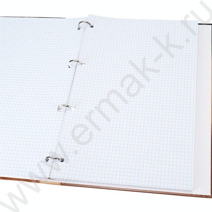 Тетрадь 120л А4 клетка/кольца "Тигр в пустыне" | Фото 3