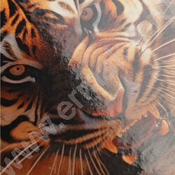 Тетрадь 120л А4 клетка/кольца "Тигр в пустыне" | Фото 5