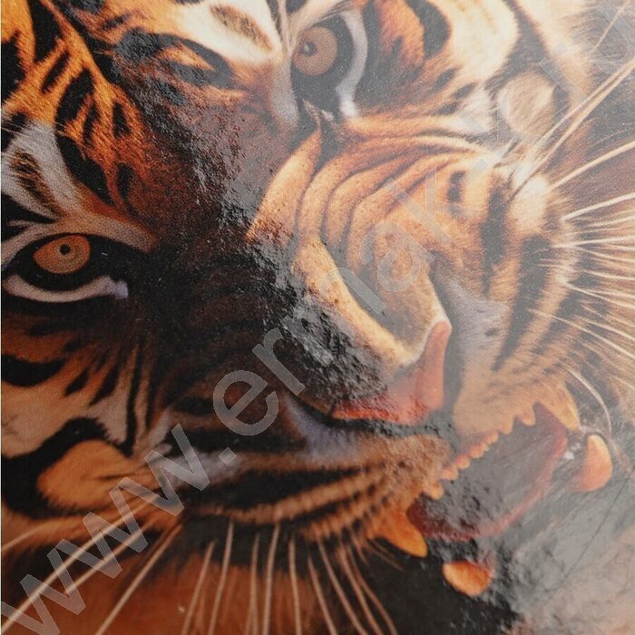 Тетрадь 120л А4 клетка/кольца "Тигр в пустыне" | Фото 5