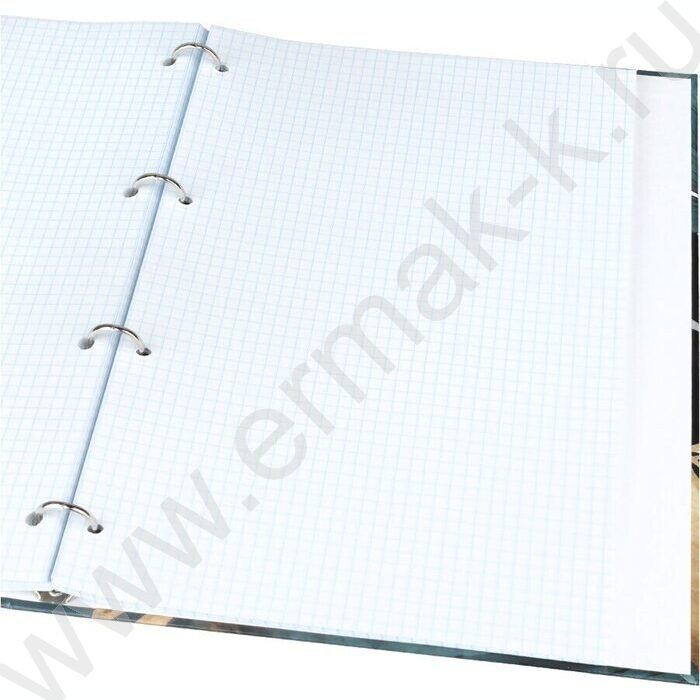 Тетрадь 120л А4 клетка/кольца "Тропические листья-5" | Фото 3