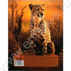 Тетрадь 160л клетка/кольца "Леопард-1" | Фото 4