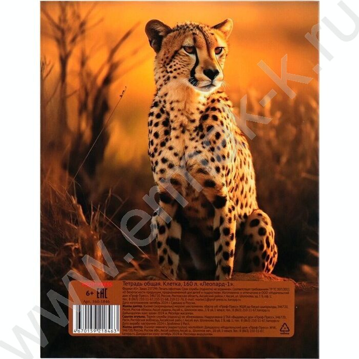 Тетрадь 160л клетка/кольца "Леопард-1" | Фото 4