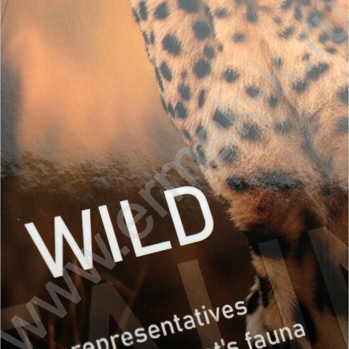 Тетрадь 160л клетка/кольца "Леопард-1" | Фото 5