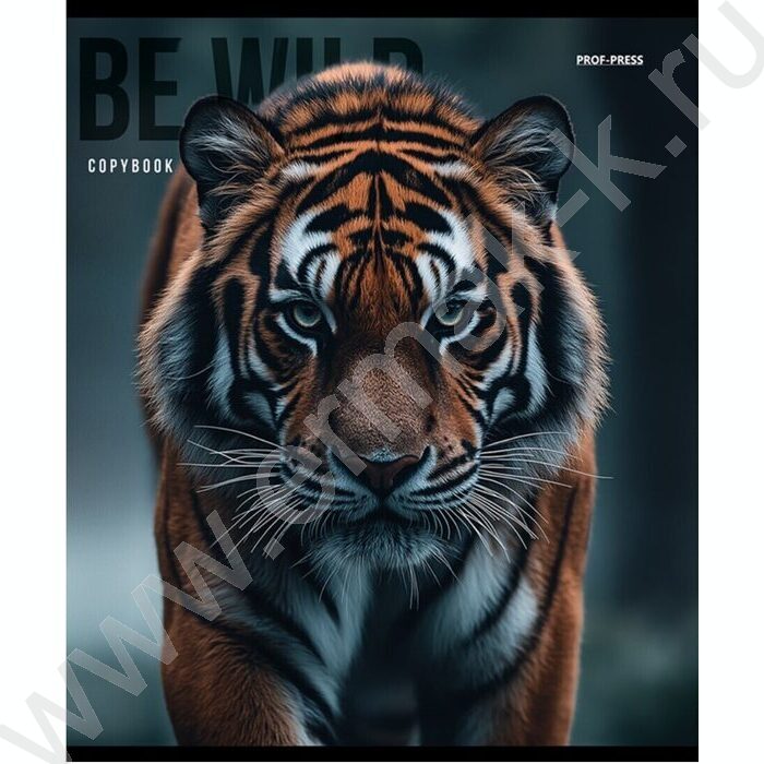 Тетрадь  48л клетка "Дикие кошачьи" /лён/ ассорти | Фото 4