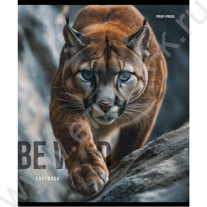 Тетрадь  48л клетка "Дикие кошачьи" /лён/ ассорти | Фото 5